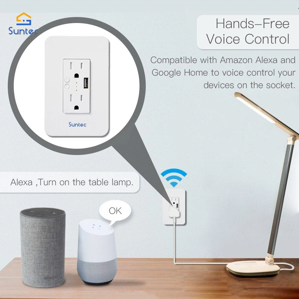 Smart Home Smart Wall Socket 3pin Amazon Alexa and Google Assistant 2USB
