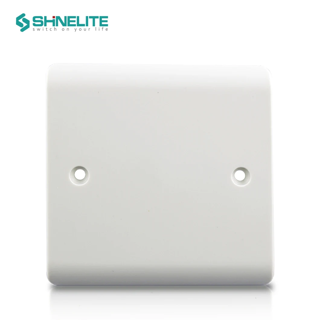 Bakelike Switch 1 Gang Blank Plate Switch